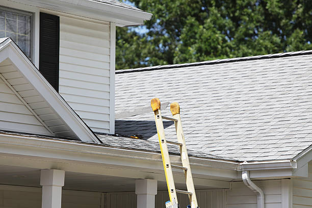 Best Insulated Siding Installation  in Rural Retreat, VA